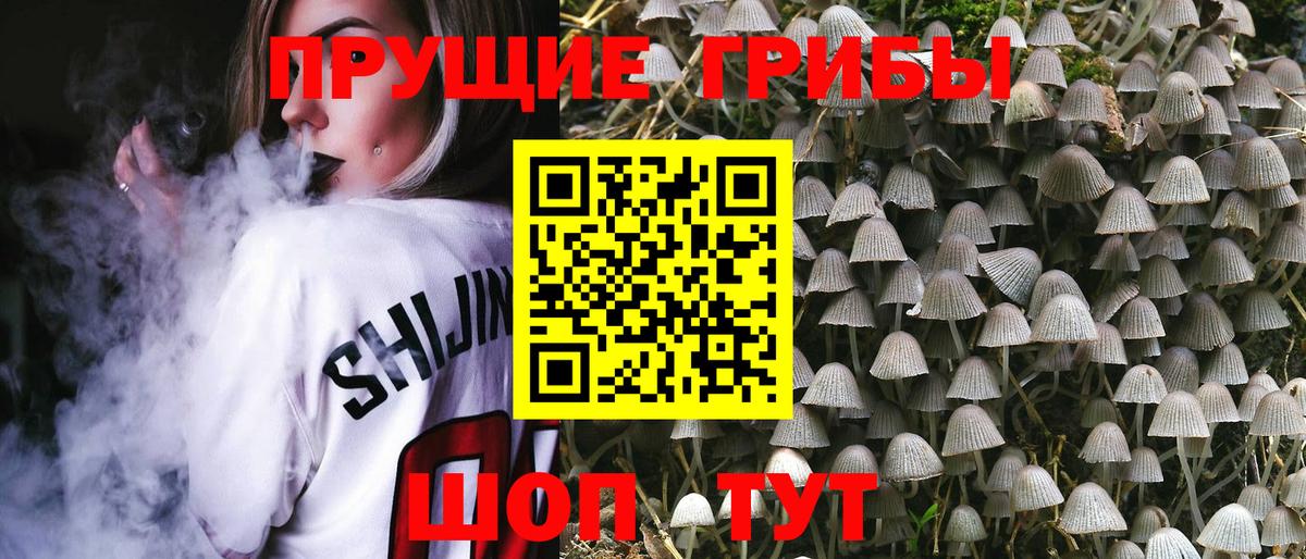Галлюциногенные грибы GOLDEN TEACHER  Вход с VPN  Ачхой-Мартан 