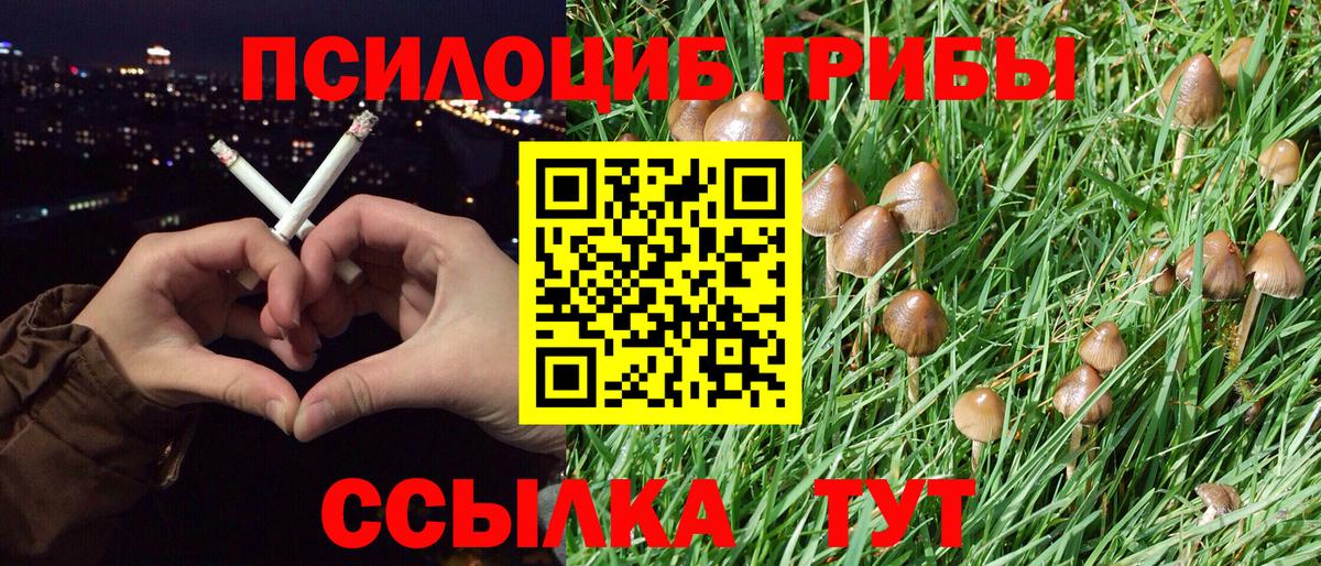 Галлюциногенные грибы Magic Shrooms Ачхой-Мартан